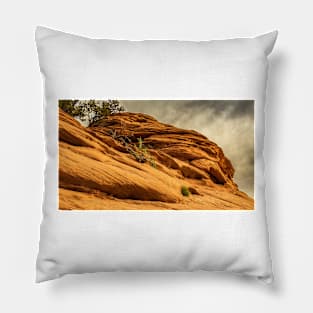 Stone Plants Sky Pillow