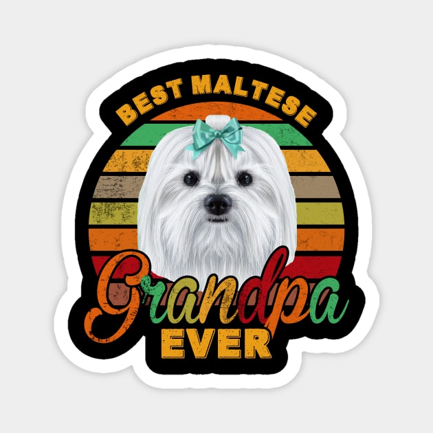 Best Maltese Grandpa Ever Magnet by franzaled