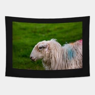 Sheep Tapestry