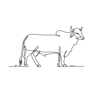 Brahman Bull Standing Side View Continuous Line Drawing Black and White Illustration T-Shirt