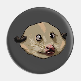 Baby Possum Pin