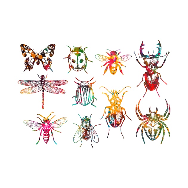 Insect Collection by erzebeth