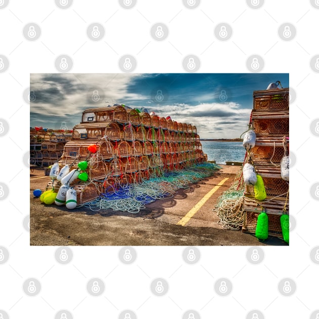 Lobster Traps Covehead Harbour PEI by Robert Alsop