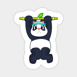 Panda Fitness Pull-ups Magnet