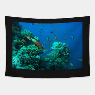 RED SEA MARINE LIFE Tapestry