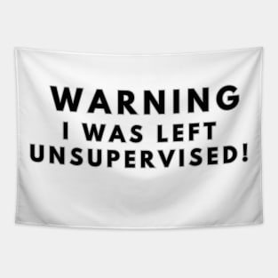 Warning: I was left unsupervised! Tapestry