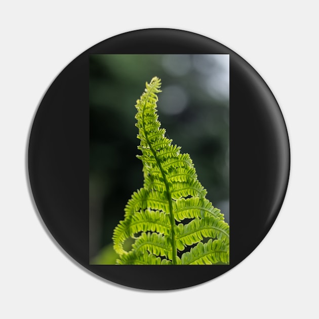 Fern Pin by RosNapier