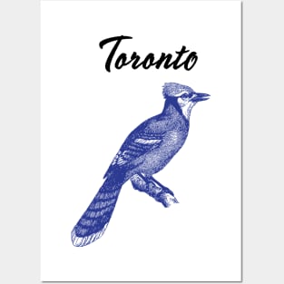 Cute Blue Jay Posters for Sale