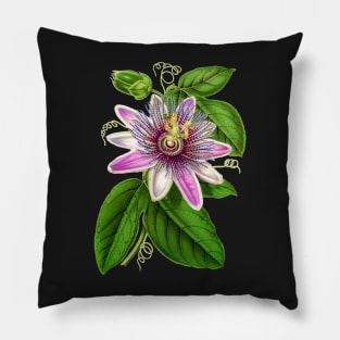 Passion Flower - Passion Vine botanical illustration Pillow