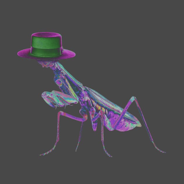 Mantis with a hat by abdoos