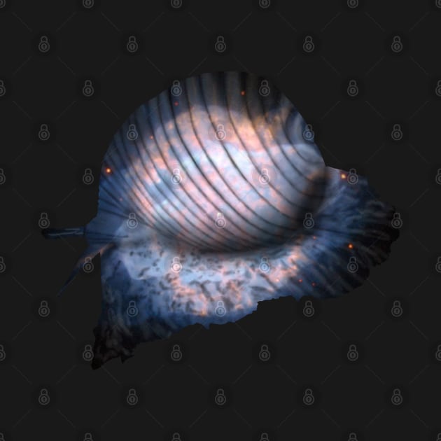 Galaxy Sea Snail by Kristal Stittle