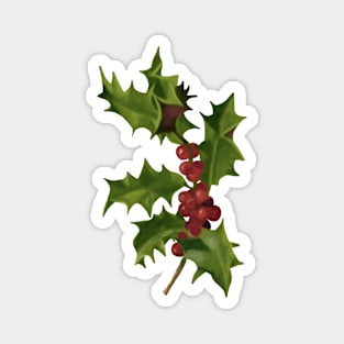 Vintage Christmas Berries Botanical Illustration Magnet