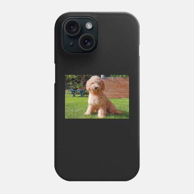 Cute Poodle Phone Case by Aleksander37