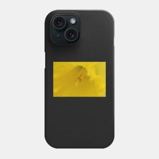 The softness of a daffodil Phone Case