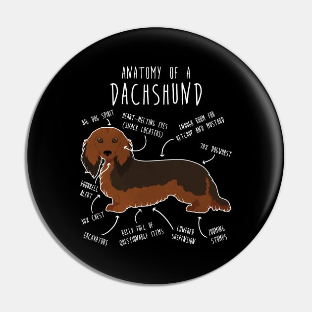 Longhaired Sable Dachshund Dog Anatomy Pin by Psitta