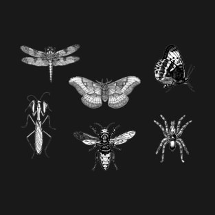 Insect Bug Collection With Honeybee, Tarantula, Mantis, Moth, Dragonfly T-Shirt