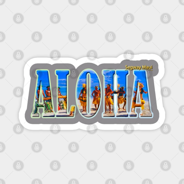 Aloha from Hawaii Magnet by Aloha Designs