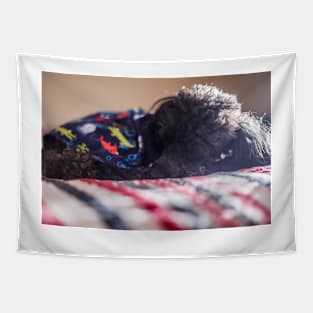 Glamour puppy Tapestry