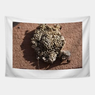 Wasp Nest Tapestry