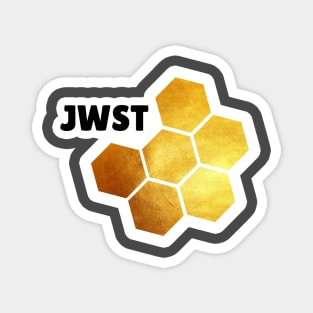 James Webb Space Telescope Magnet