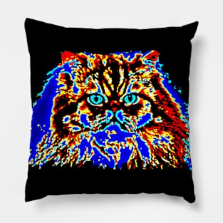 Glow Kitty Staring contest Pillow