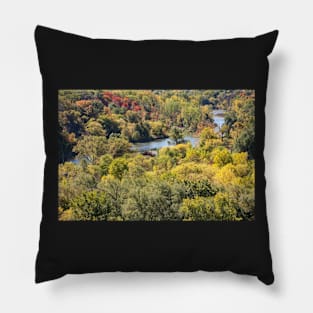 Autumn Pillow