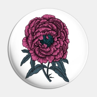 Peony drawing Pin