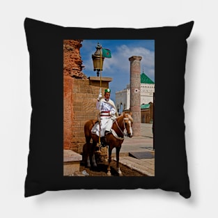 Morocco. Rabat. Guard at the Mausoleum of Mohammed V. Pillow