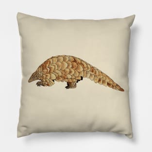 African Pangolin Pillow