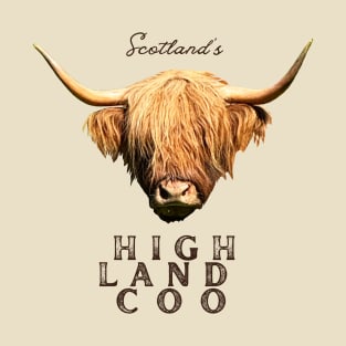 Scotland’s Highland Coo T-Shirt