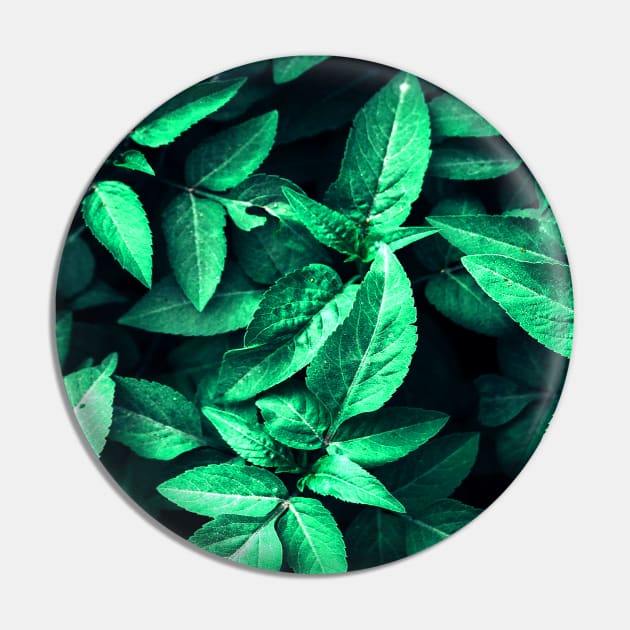 Green Leaves Pin by Horisondesignz