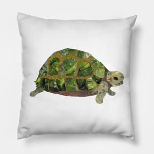 Tortoise Pillow