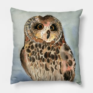 Wise Owl Pillow