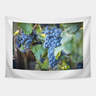 Red Wine Grapes Summer Vineyard Tapestry