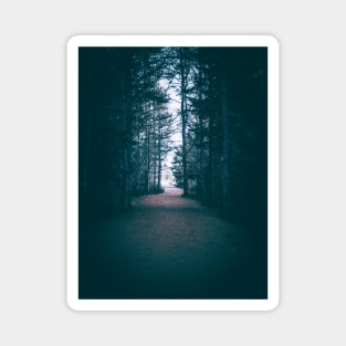 From Darkness to Light, Forest Trail V2 Magnet
