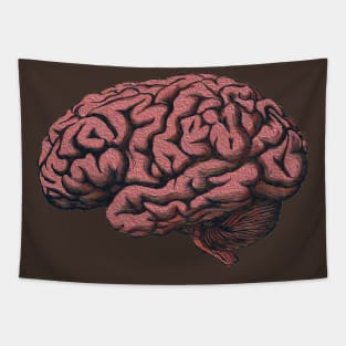 Brain Tapestry