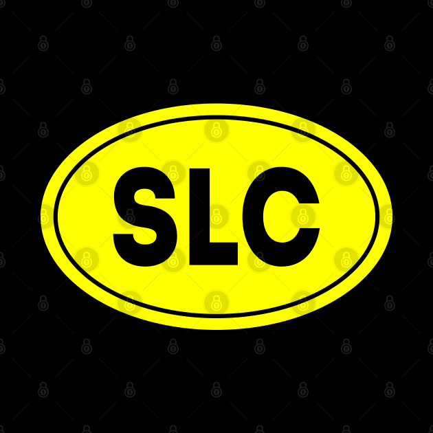 SLC Airport Code Salt Lake City International Airport USA by VFR Zone