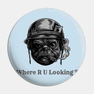 Where are you looking Pin