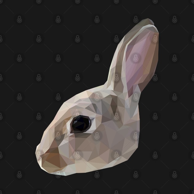 Geometrical Rabbit by ErinFCampbell