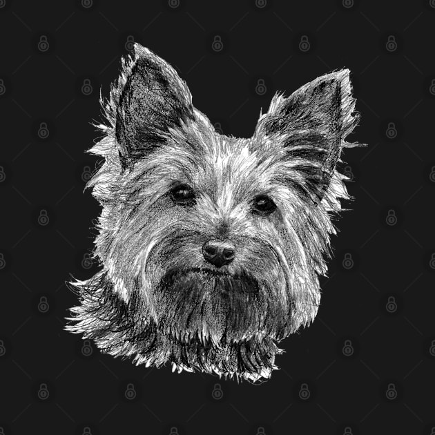 Yorkshire Terrier dog by dizzycat-biz