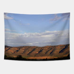 Mountain Range in Australian Outback Tapestry