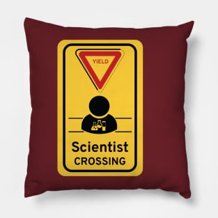 Scientist crossing Pillow