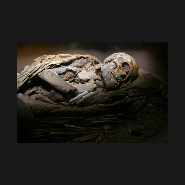 Egyptian Mummy by Rob Johnson Photography