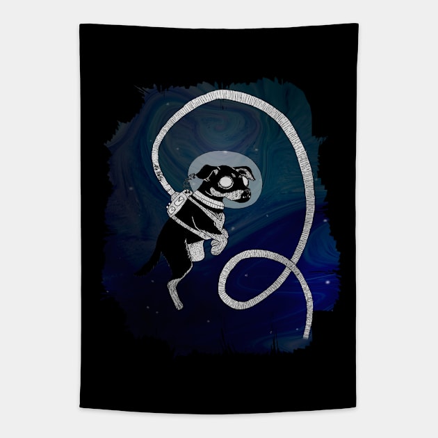 Pi the Nott-weiler in Space Tapestry by AlyStabz
