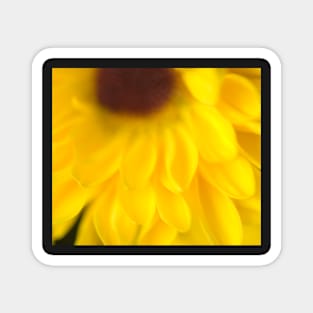 Yellow Daisy Magnet