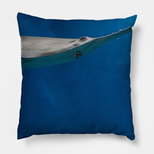 fish, ocean, marine life, ray, shark, stingray- sawfish Pillow