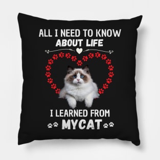 All I Need To Know About Life I Learned From My Cat Pillow