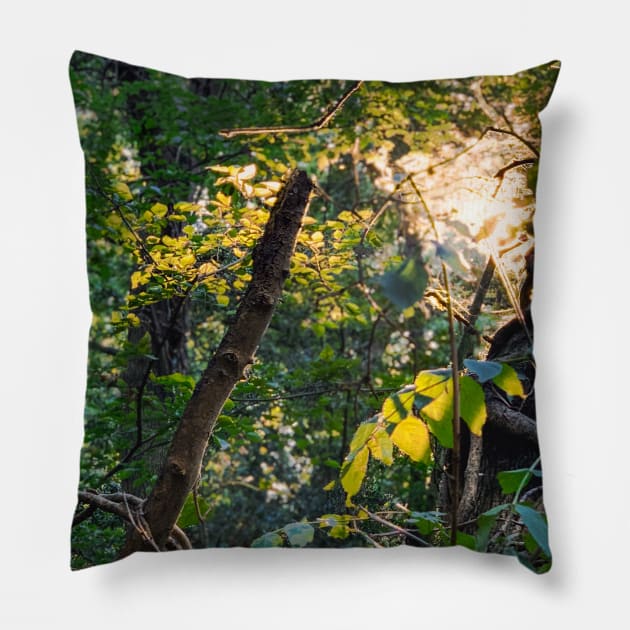 Branches Pillow by Scala Ad Astra Forum