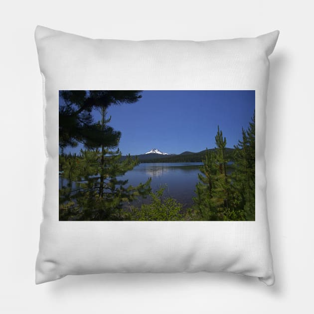 850_5999 Pillow by wgcosby