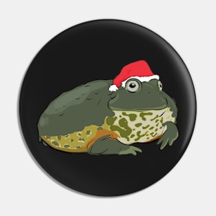 Santa Frog Pin